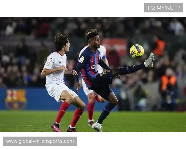 布莱顿前插选择多样