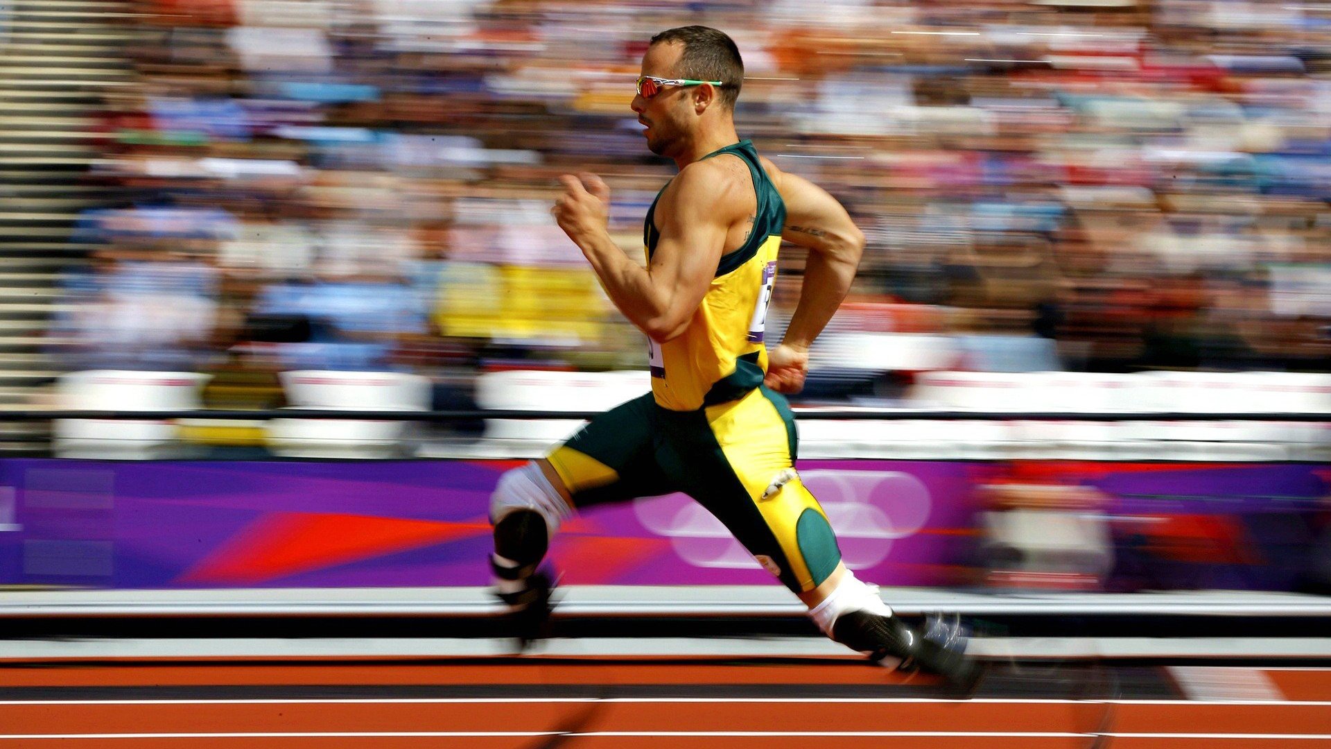 世界杯赛场的未来建筑设计趋势，世界杯规划