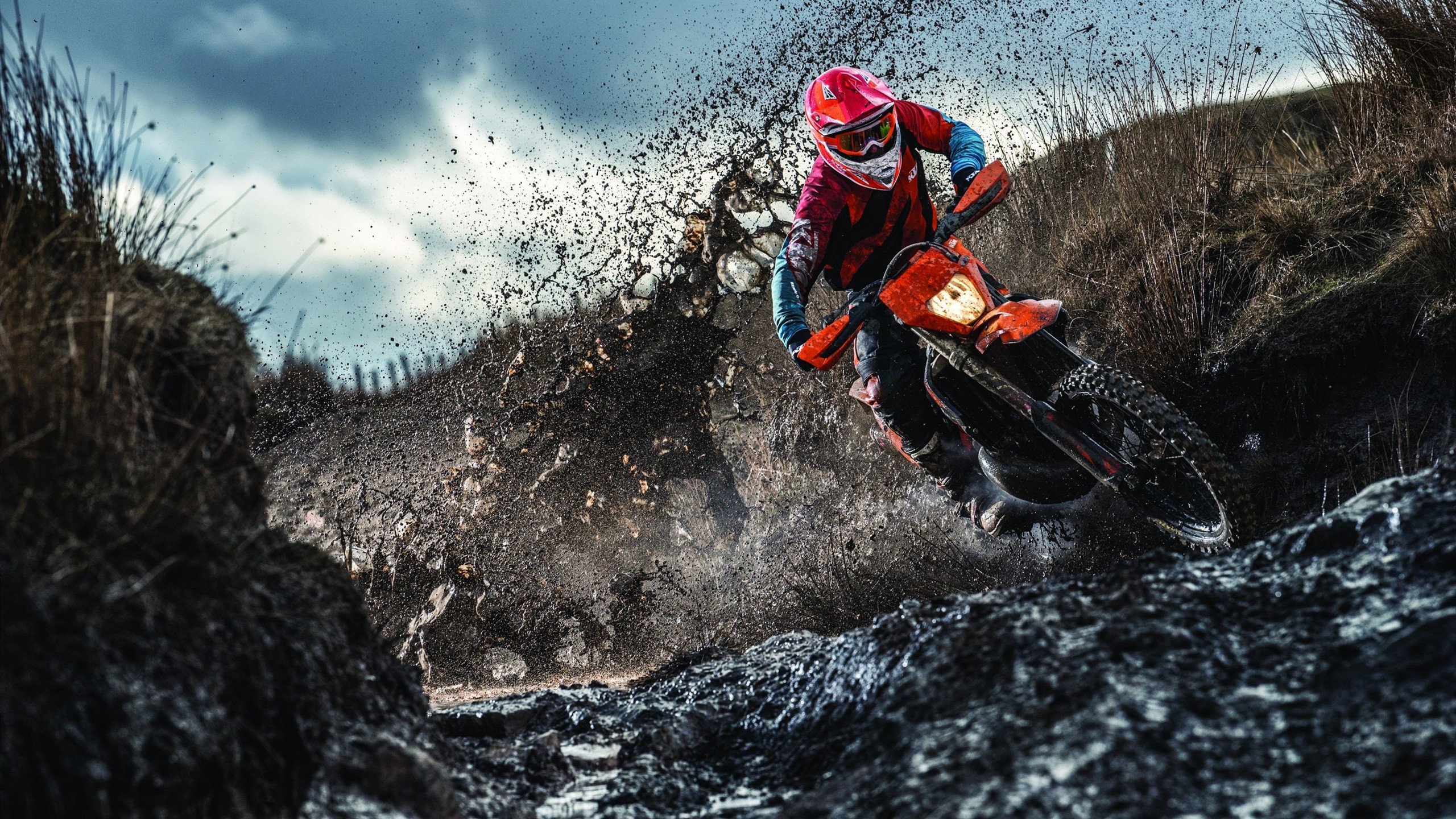 公牛社交媒体连发多条互动帖增加曝光率，公牛宣传图